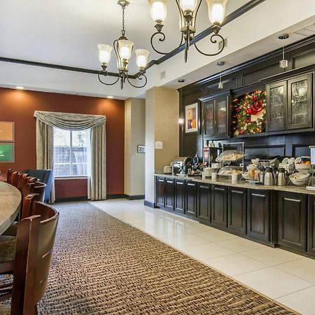 Comfort Inn & Suites לונגוויו מראה חיצוני תמונה