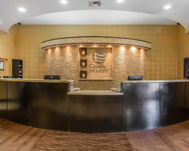 Comfort Inn & Suites לונגוויו מראה חיצוני תמונה